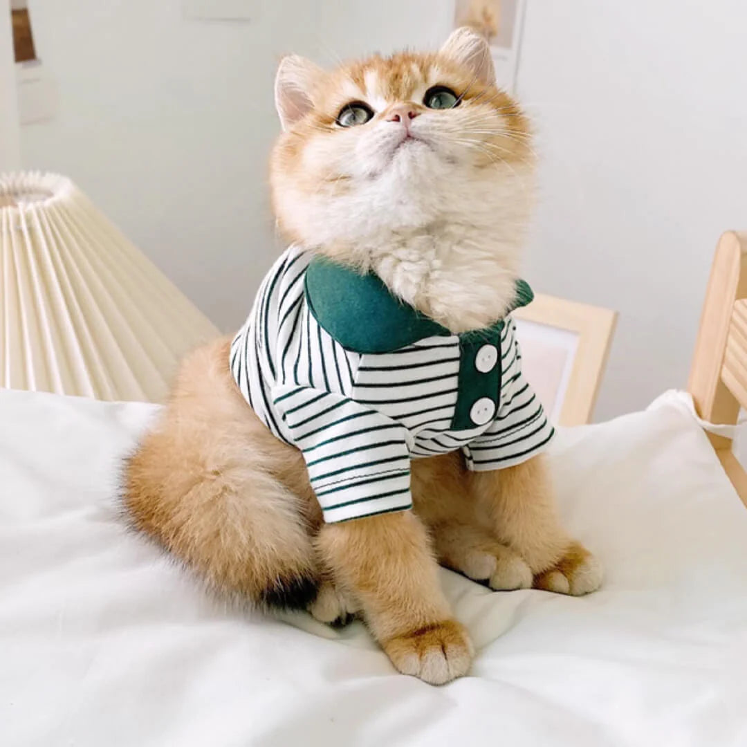 Cat tee