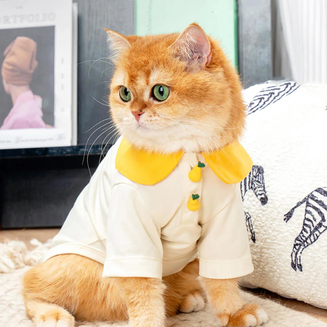 Cat tee