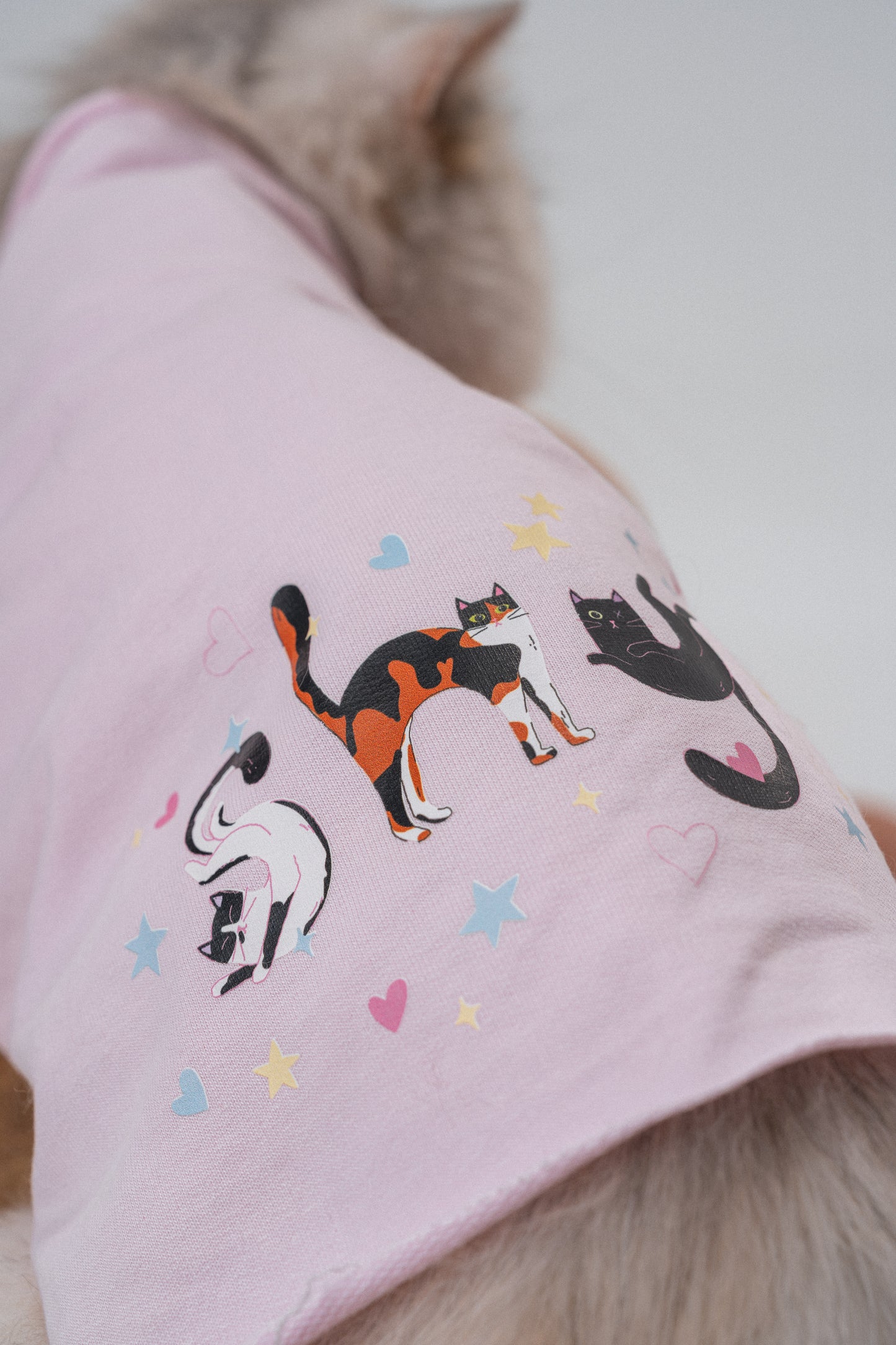 Shy Cat Tee