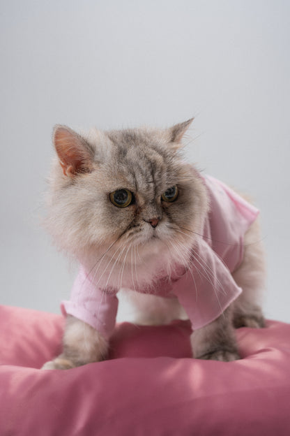 Shy Cat Tee
